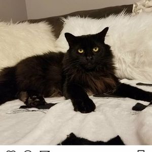 Meet your Posher, Joellen